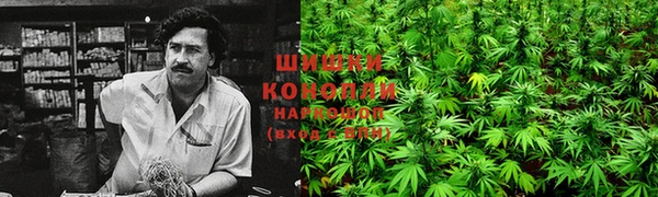 кокс Инта