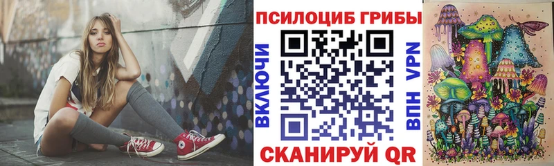 Галлюциногенные грибы MAGIC MUSHROOMS  Купить закладки  Гуково 